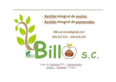 Billó