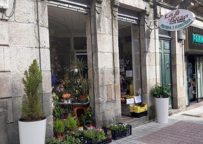 Floristería La Rosa