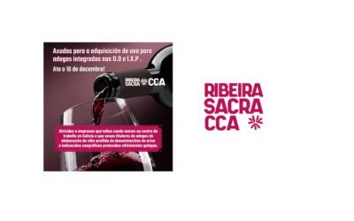 Axudas para adegas